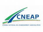 Logo CNEAP - Lycée Saint Nicolas la Providence